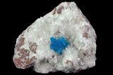 Vibrant Blue Cavansite Cluster on Stilbite - India #67804-1